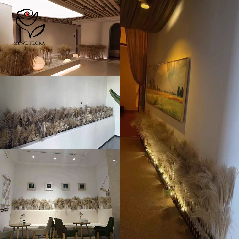 200PCS Natural Dried Fluffy Re - đánh giá và giá Dried Flower Bulk